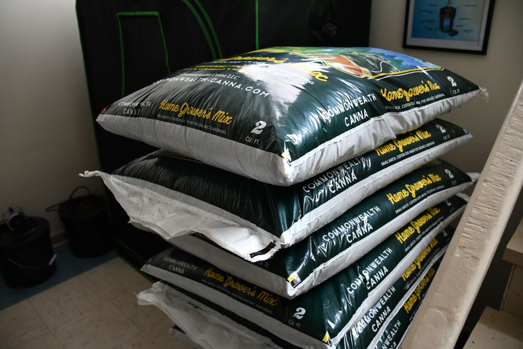 GCVA soil bags of Commonwealth Canna